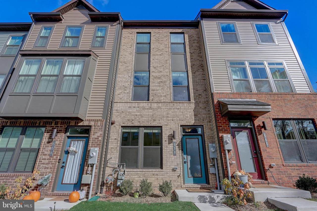 558 Levanna Lane - Photo 1