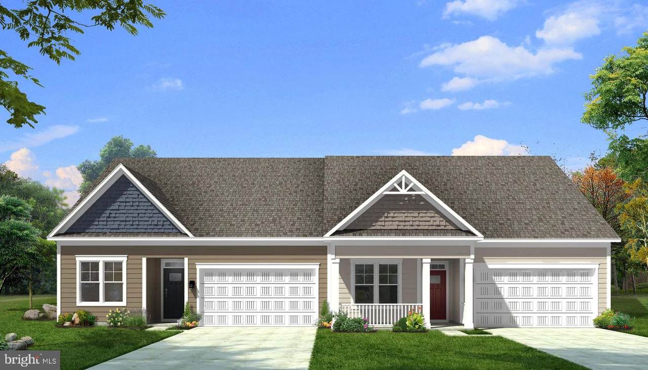 19572 Cosmos Street - Photo 1