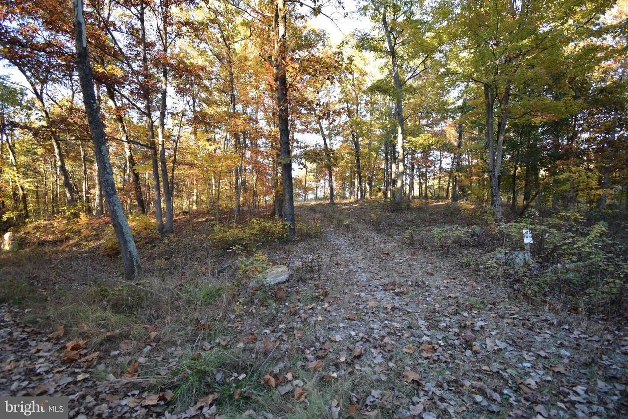 Shiloh Ln - Photo 1