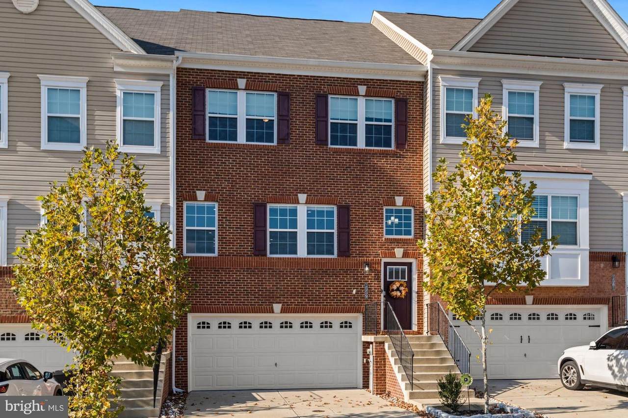 1559 Witchhazel Circle - Photo 1