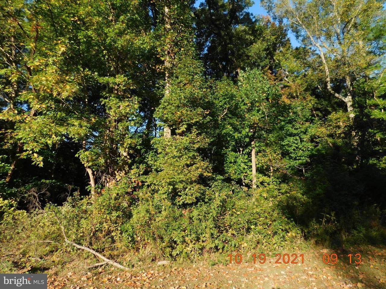 75 Kidd Ct - Photo 1