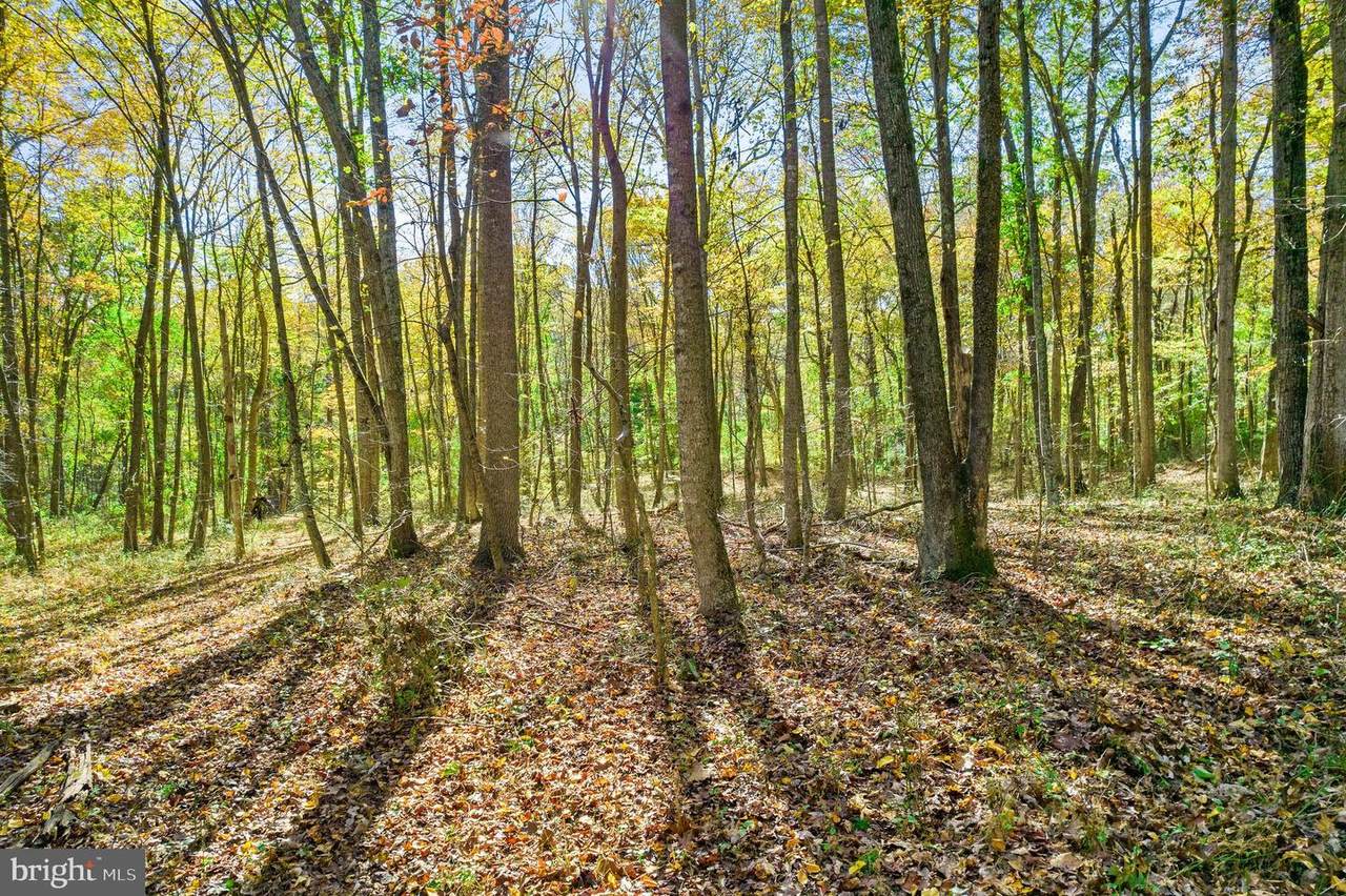 94 Acres Crest Hill Rd - Photo 1