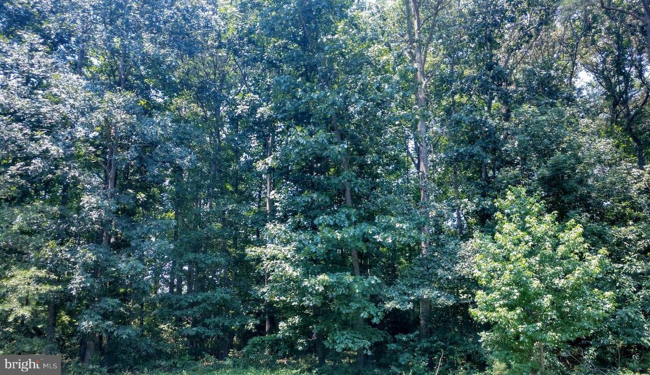 Lot 44 Hickory Cove Road - Photo 1