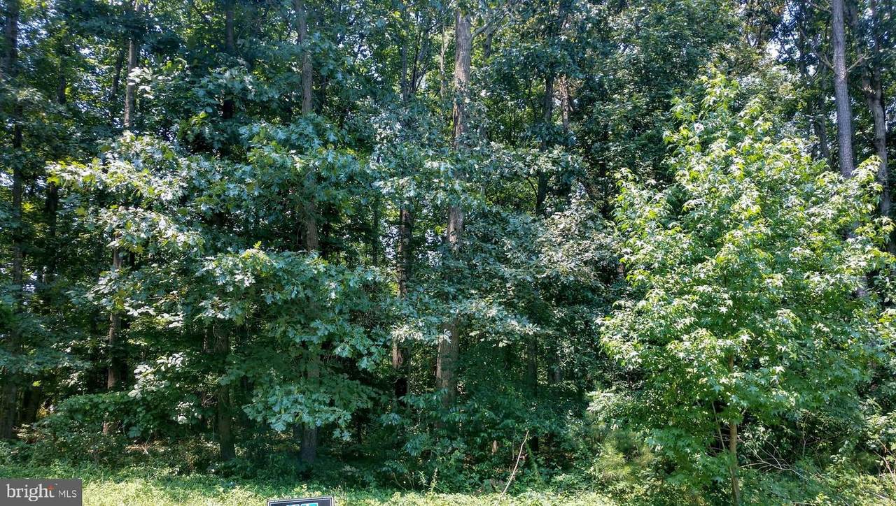 Lot 45 Hickory Cove Road - Photo 1