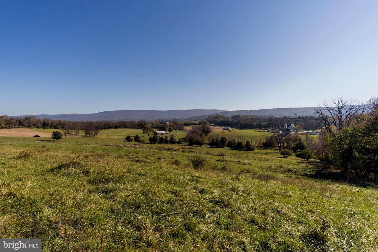 20113 Toms Road - Photo 1