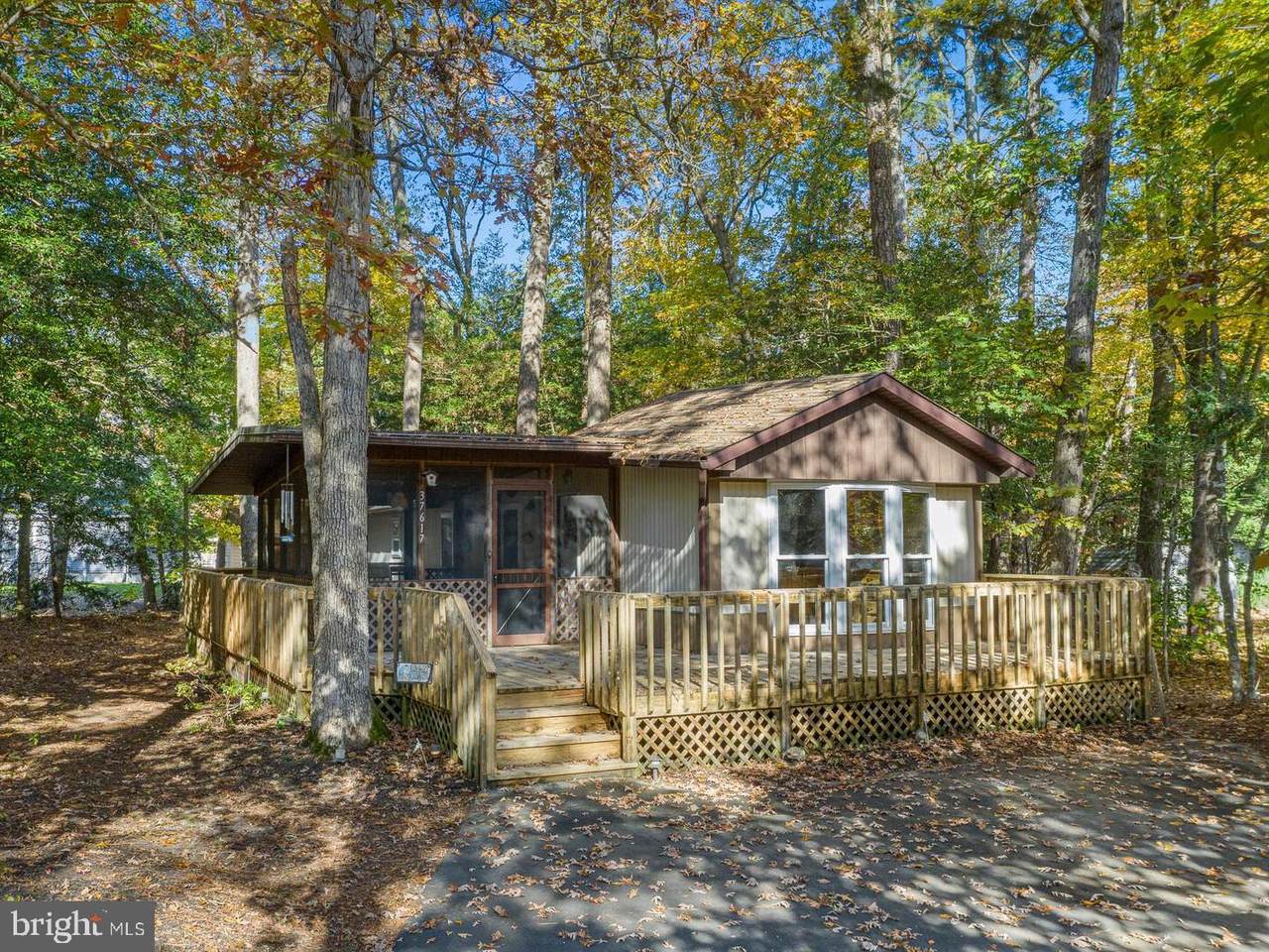 37617 Mimosa Street - Photo 1