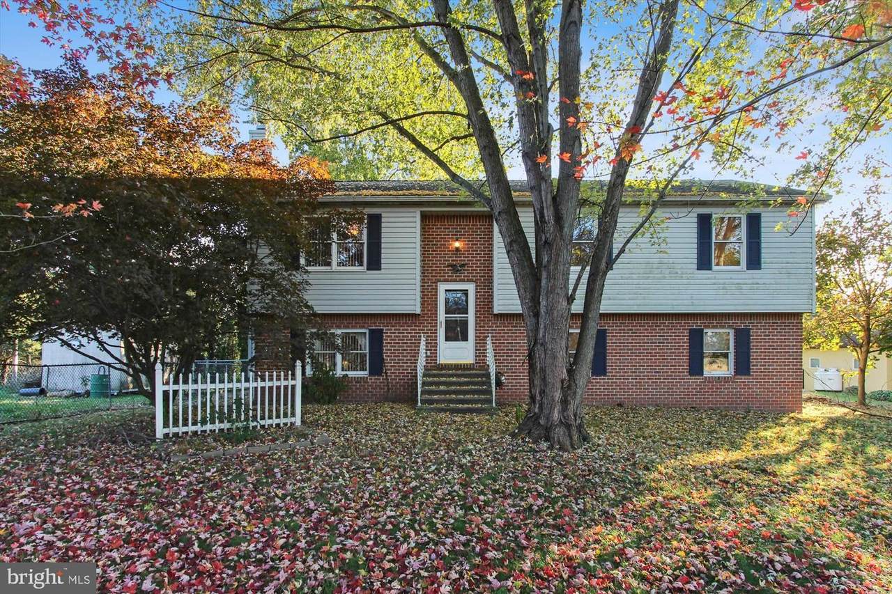 444 Custer Drive - Photo 1