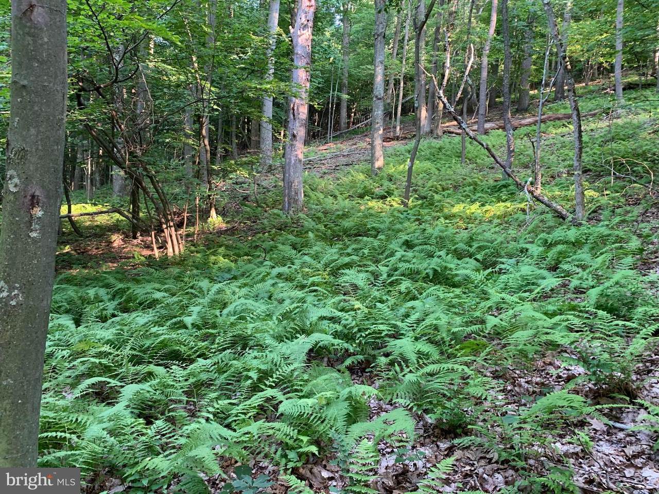 Old Hancock Road - Photo 1