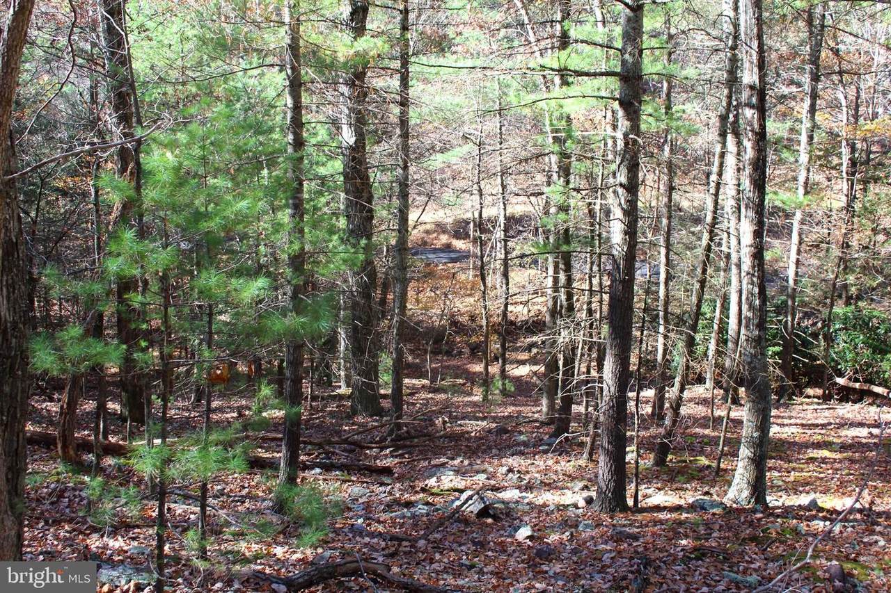 31.80 Acres Greenawalt Gap - Photo 1
