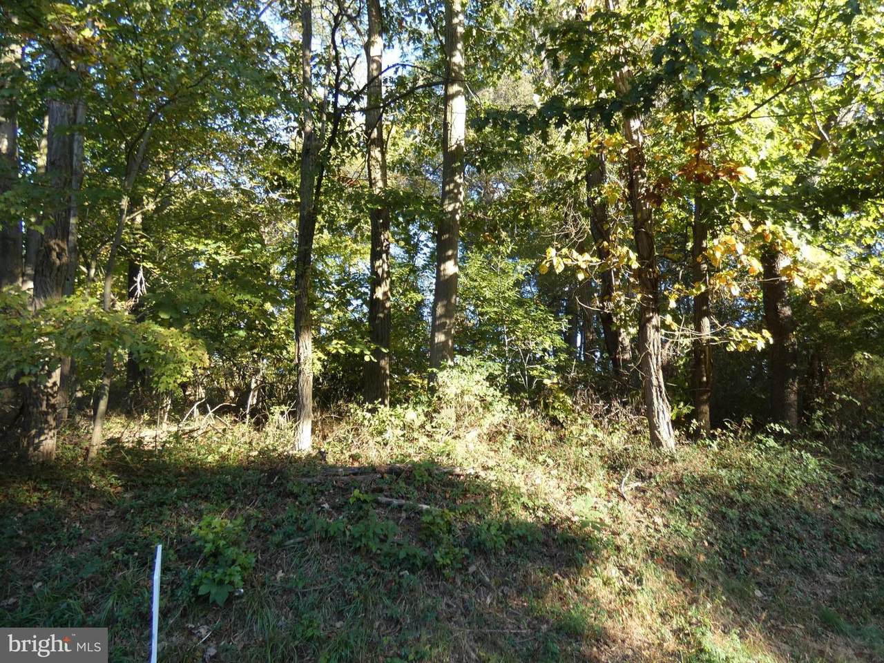 Sandpiper Road - Photo 1