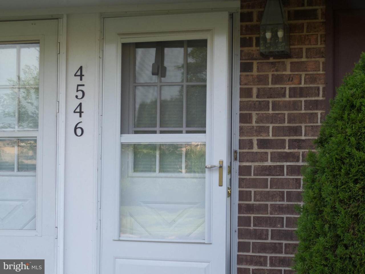 4546 Rosemarie Drive - Photo 1
