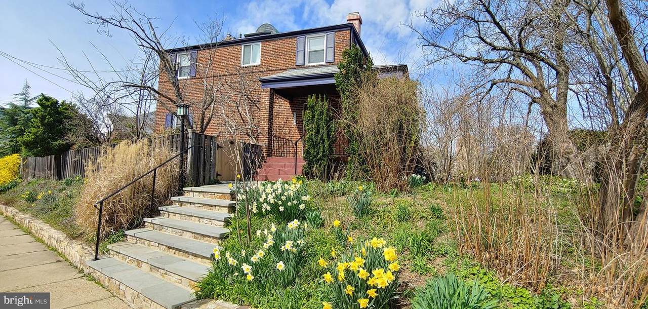 620 Nelson Street - Photo 1