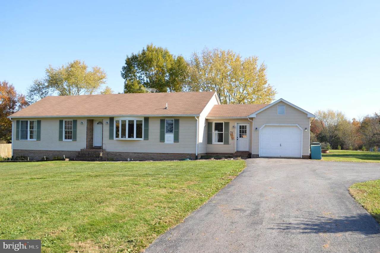 3137 Bullfrog Road - Photo 1