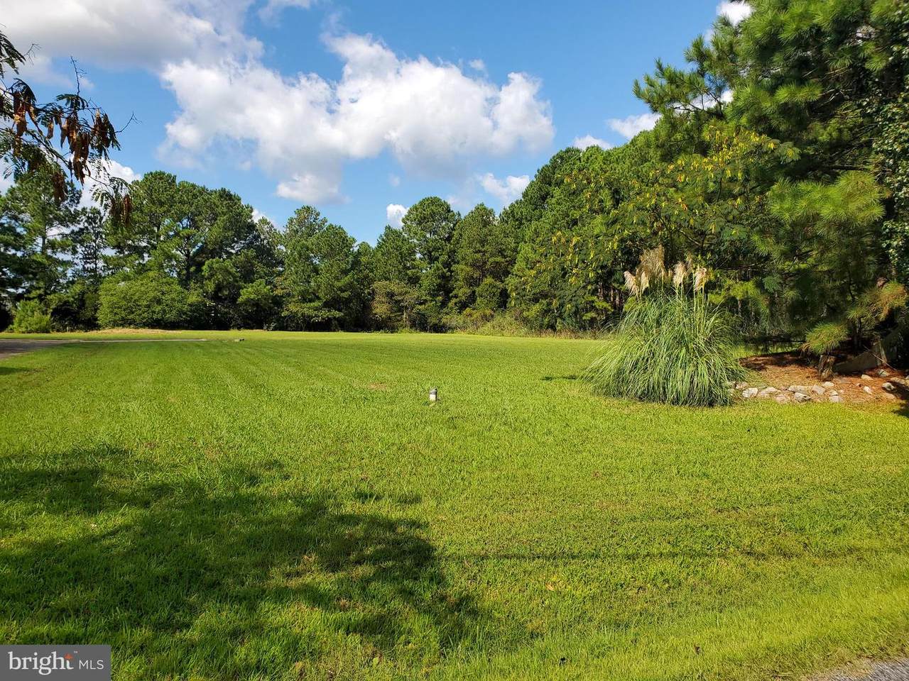 00 Cooks Landing - Photo 1