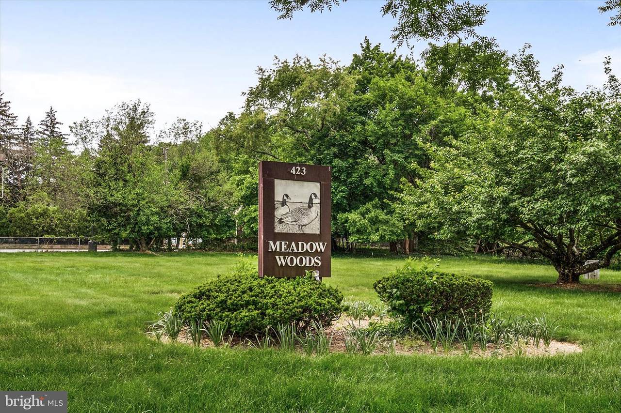 423 Meadow Woods Lane - Photo 1