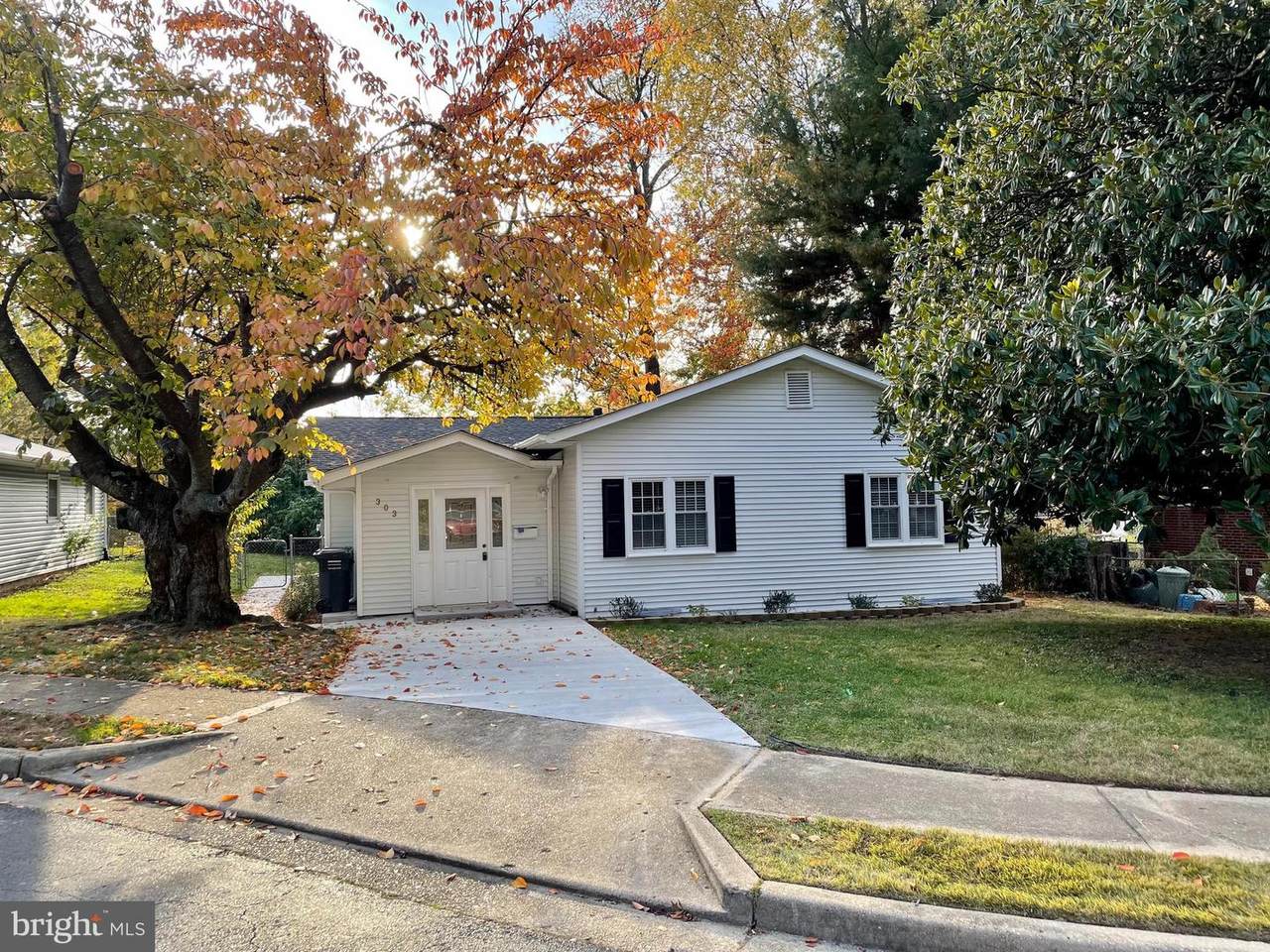 303 Rollins Street - Photo 1