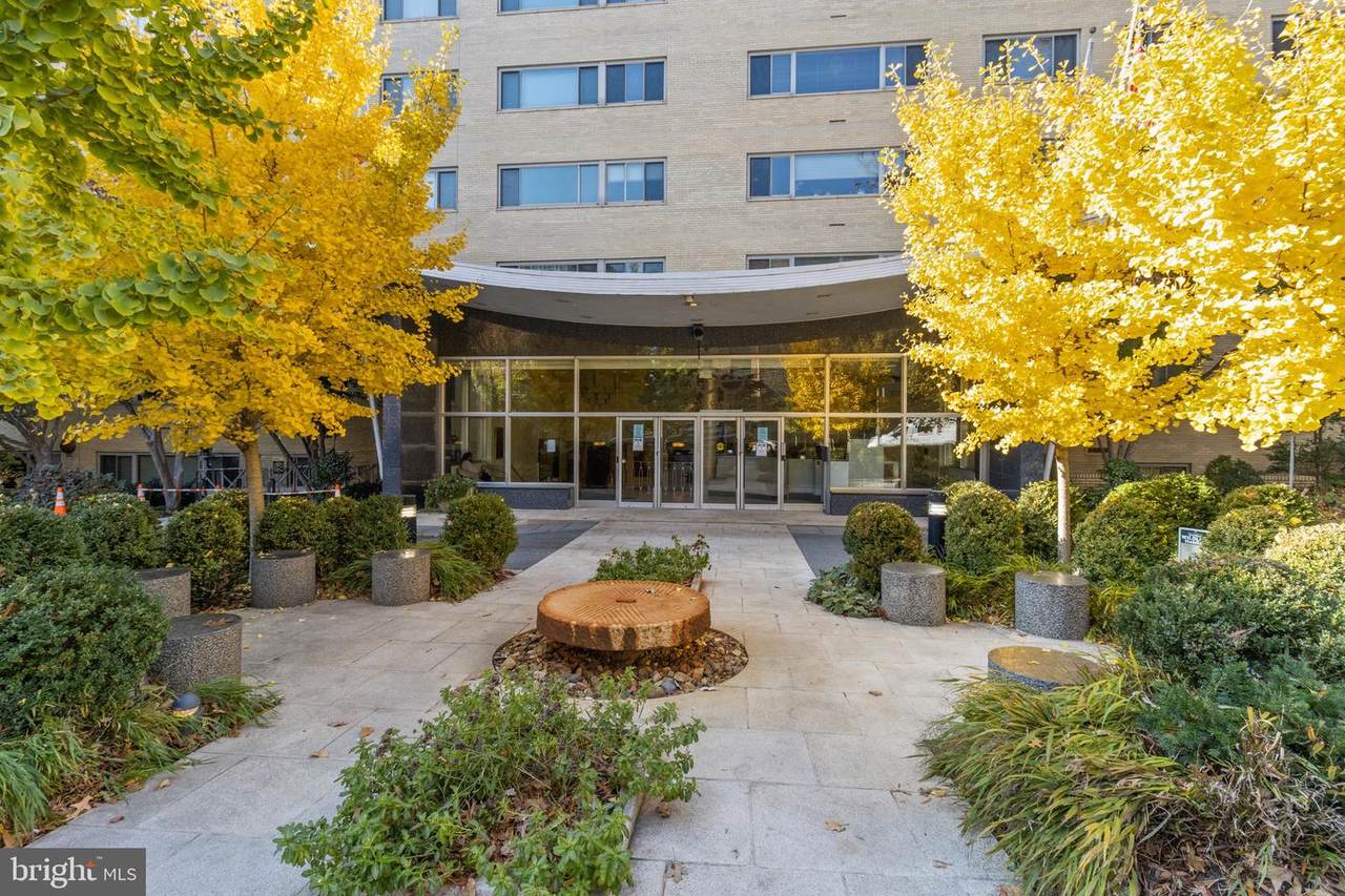 4600 Connecticut Avenue - Photo 1