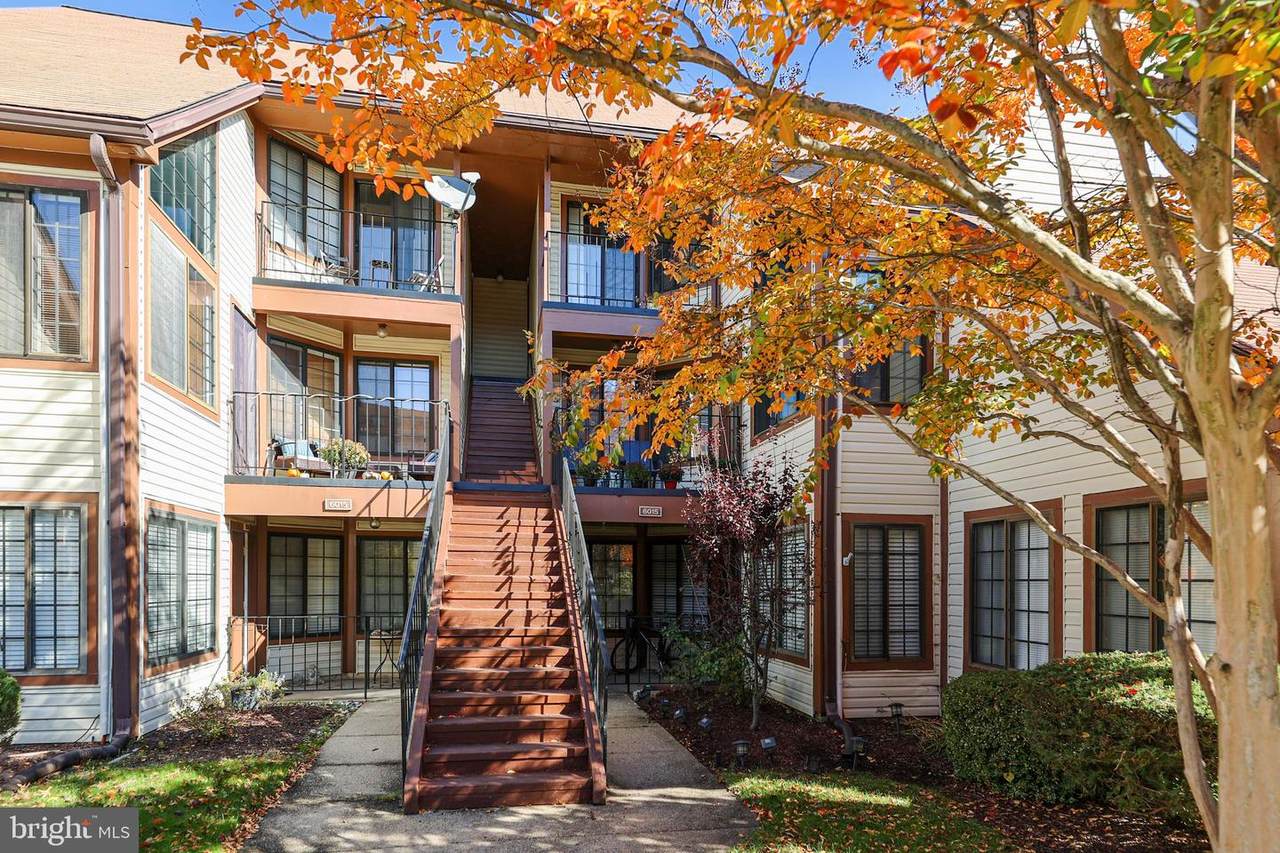 6015 Curtier Drive - Photo 1