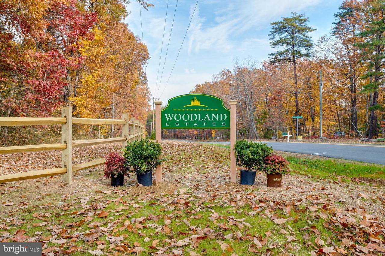 Lot 4 Dorothy Way - Photo 1