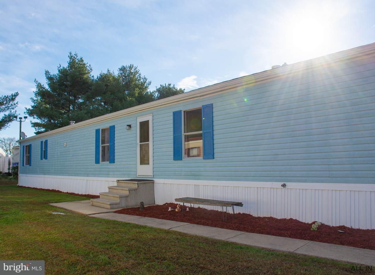 230 Loblolly Pine Drive - Photo 1