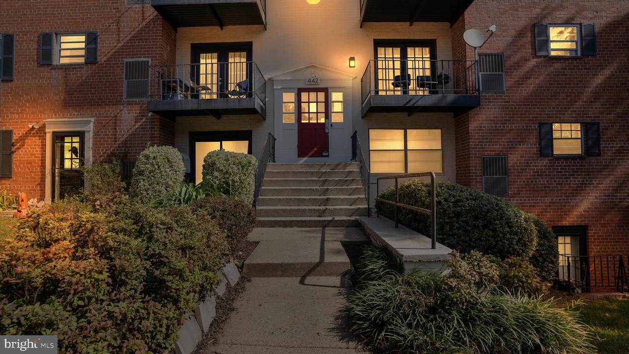 442 Armistead Street - Photo 1