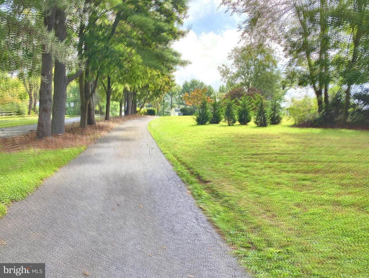 7433 Old Washington Road - Photo 1
