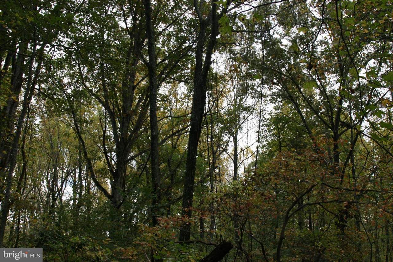 Caledon Road - Photo 1