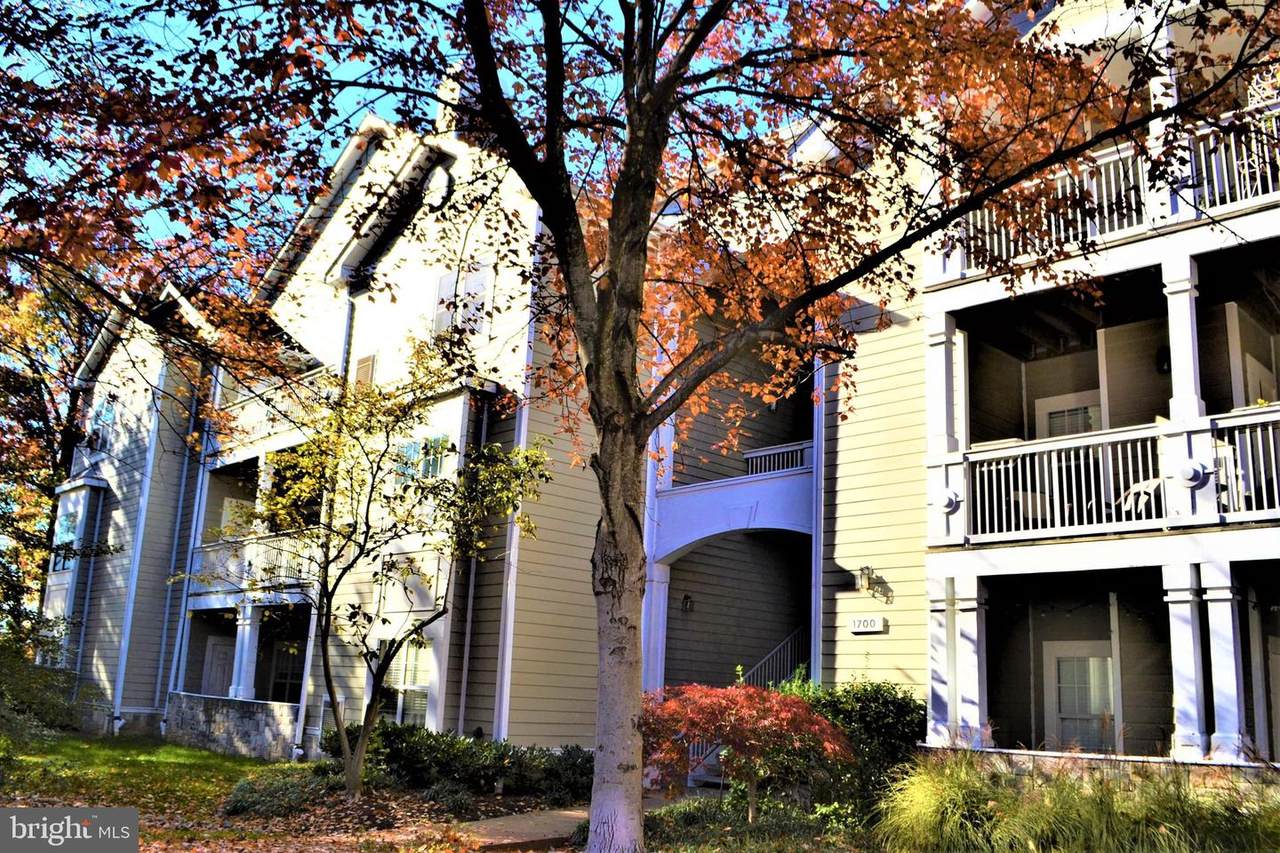 1700 Lake Shore Crest Drive - Photo 1