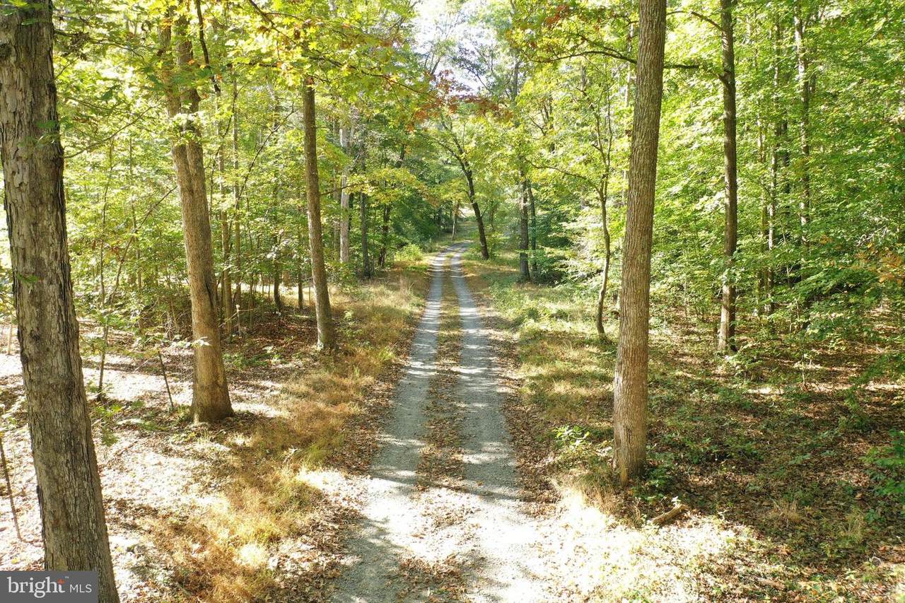 1401 Old Apple Grove Road - Photo 1