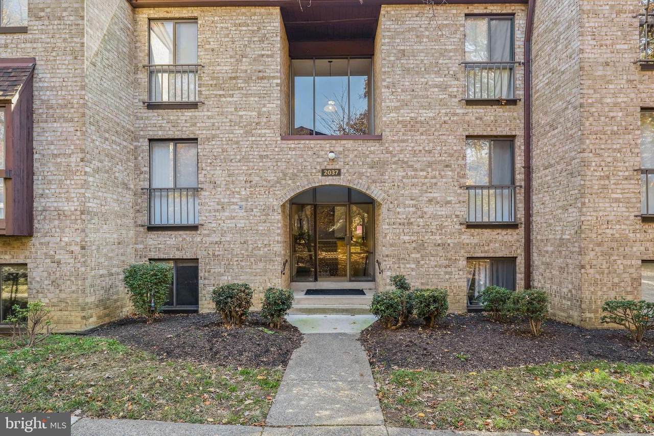 2037 Royal Fern Court - Photo 1