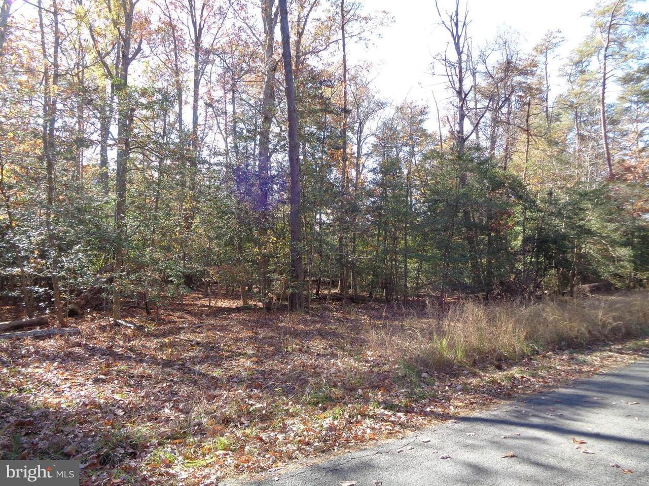 Parcel 106 Smith Point Road - Photo 1
