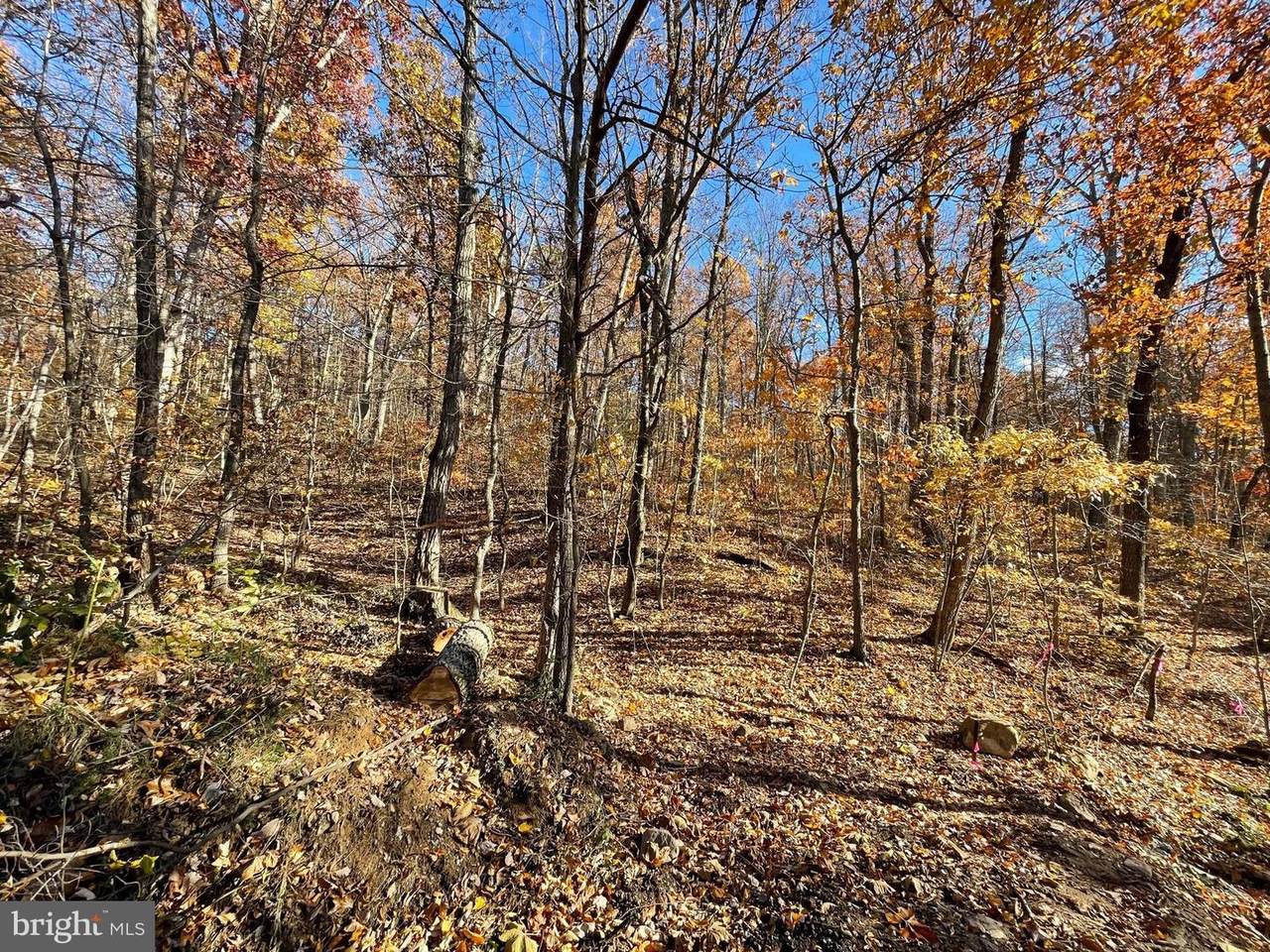 Cobblestone Lane - Photo 1