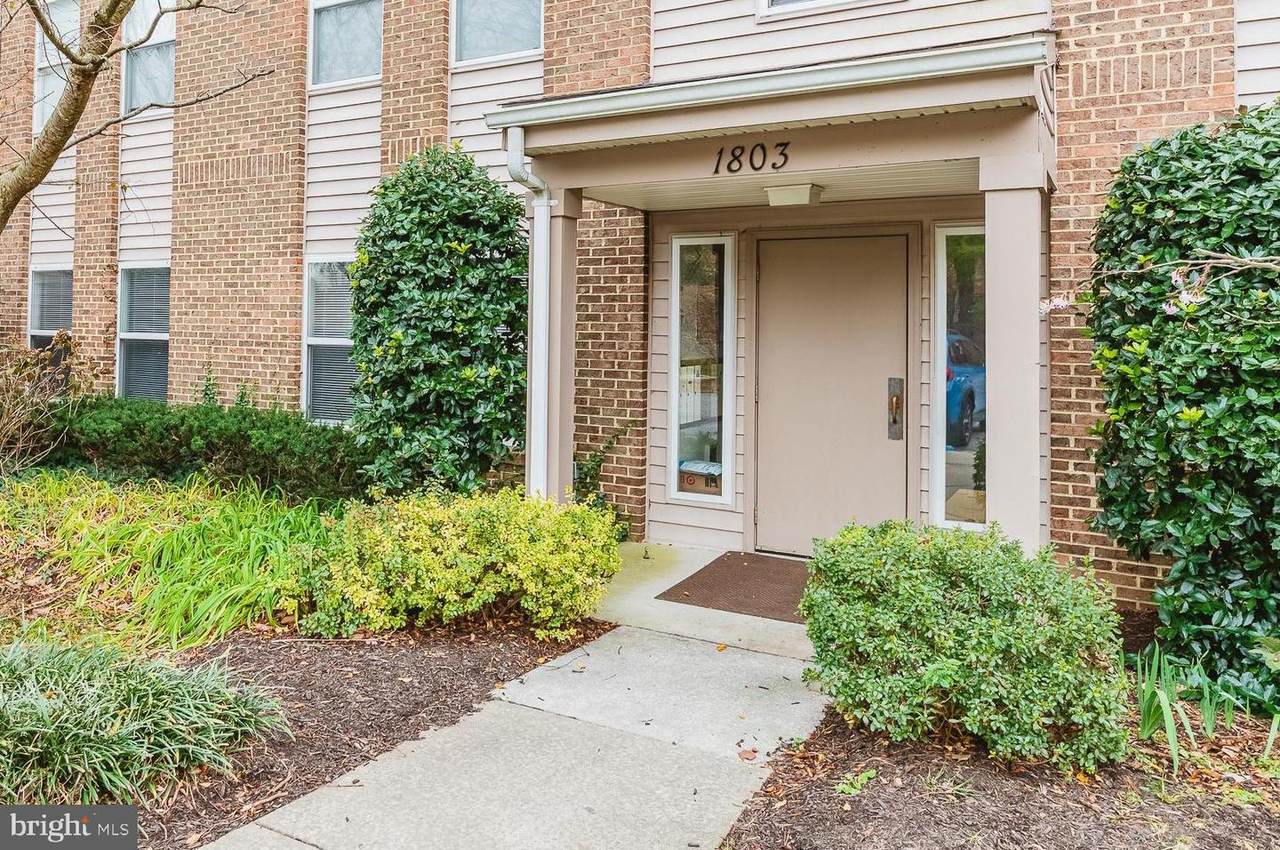 1803 Snow Meadow Lane - Photo 1
