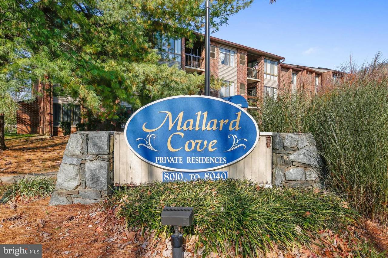 8030 Needwood Road - Photo 1