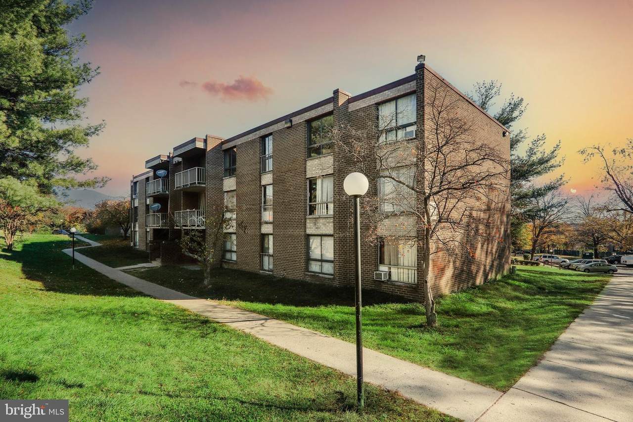 7951 Old Riggs Road - Photo 1