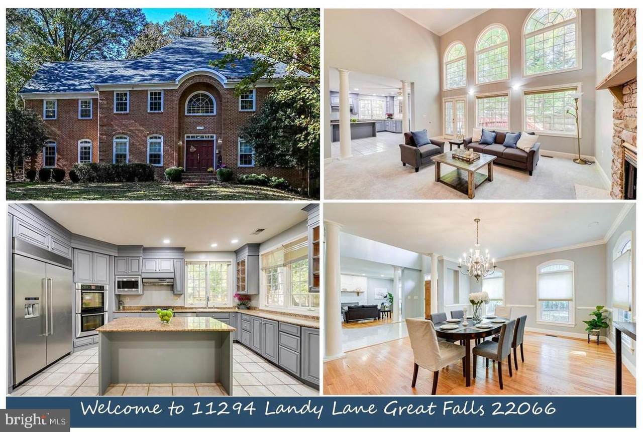 11294 Landy Lane - Photo 1