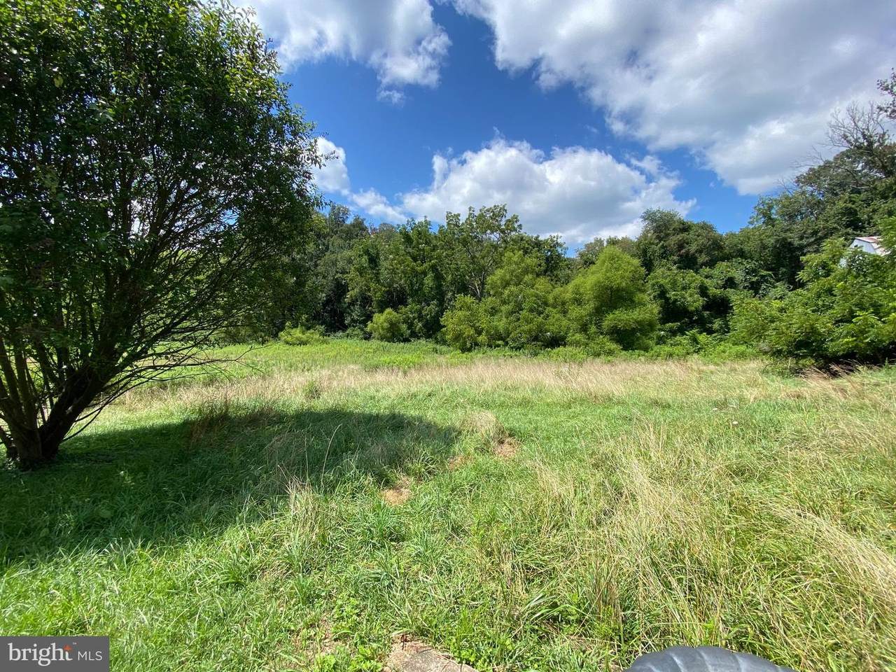 15928 Falls - Photo 1
