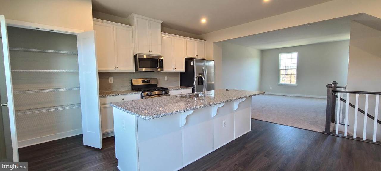 24593 Hutchinson Farm Drive - Photo 1
