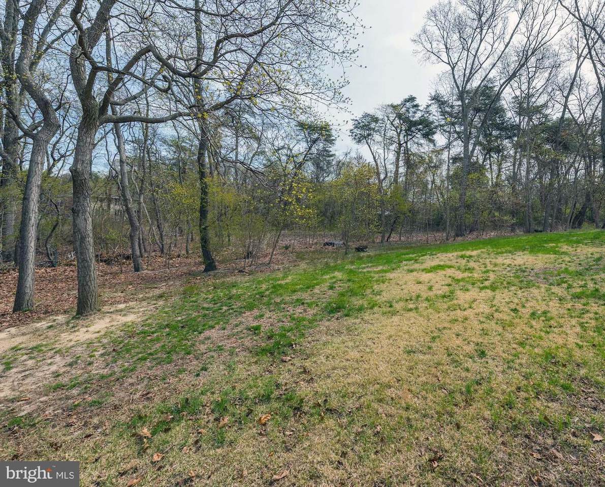 0 Marion Avenue - Photo 1