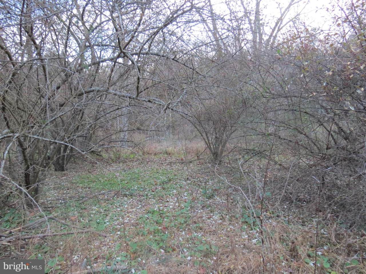 Brady Hollow Road - Photo 1