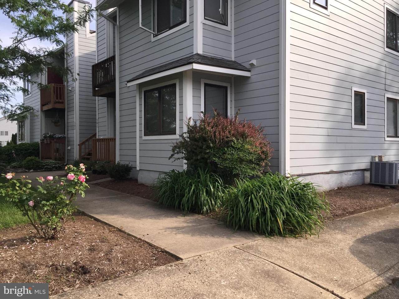 501 Marion Quimby Drive - Photo 1
