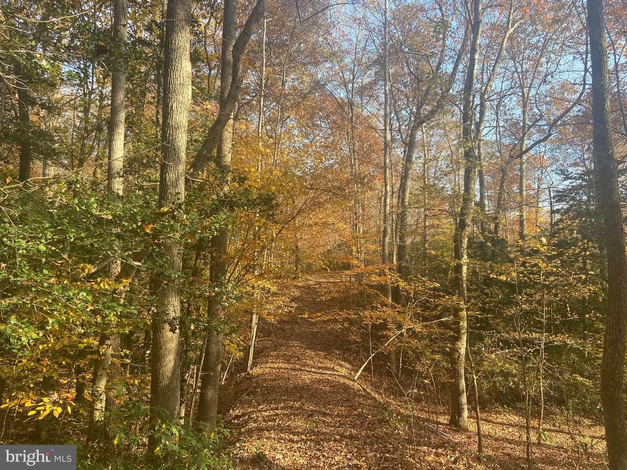 12516 State Road - Photo 1