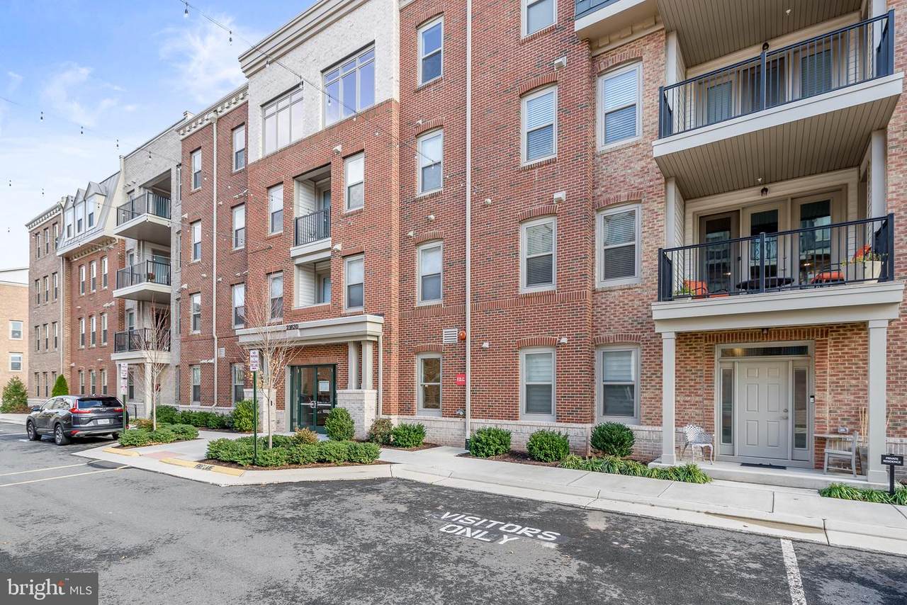 23630 Havelock Walk Terrace - Photo 1