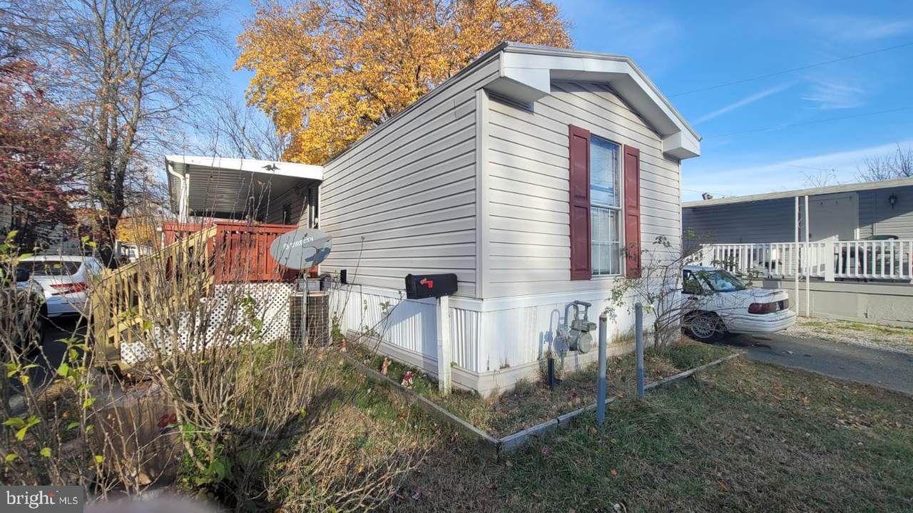 7923 Flamingo Drive - Photo 1