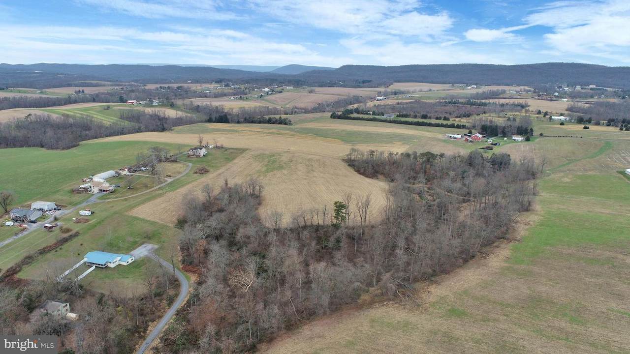 8 Palmer Lane - Photo 1