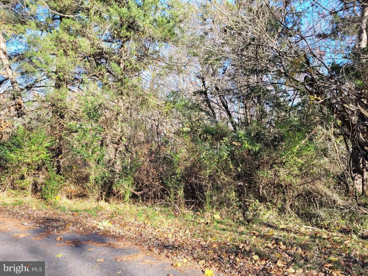 105 Pine Street - Photo 1