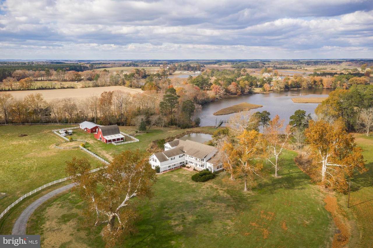 28390 Black Road - Photo 1