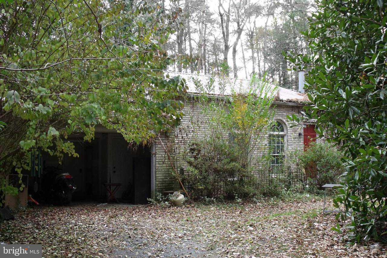13640 Collins Pond Rd - Photo 1