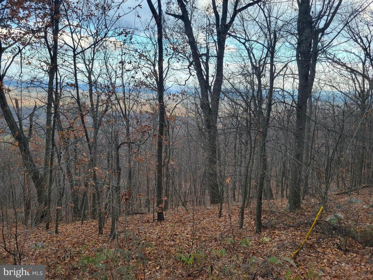 Arran Lane - Photo 1