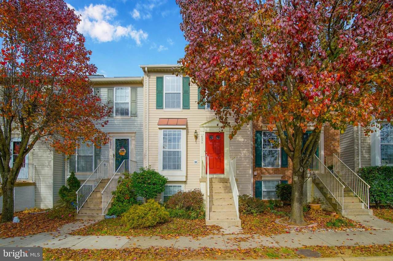6374 Andrew Matthew Terrace - Photo 1